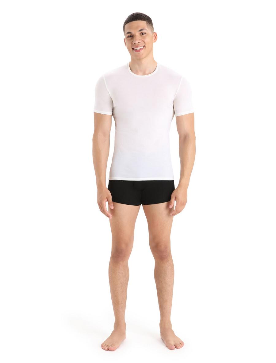 Snow Icebreaker Merino Anatomica Short Sleeve Crewe T-Shirt Men's Underwear | AU 1300HAPK